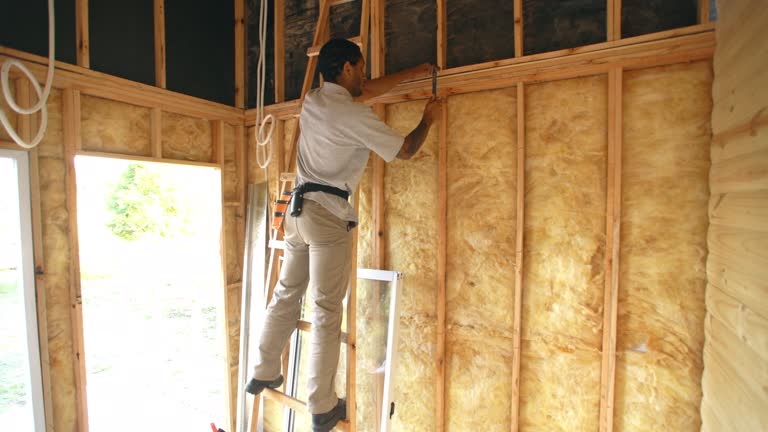 Best Insulation Removal  in Lindstrom, MN