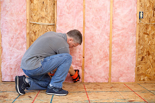 Best Crawl Space Insulation  in Lindstrom, MN