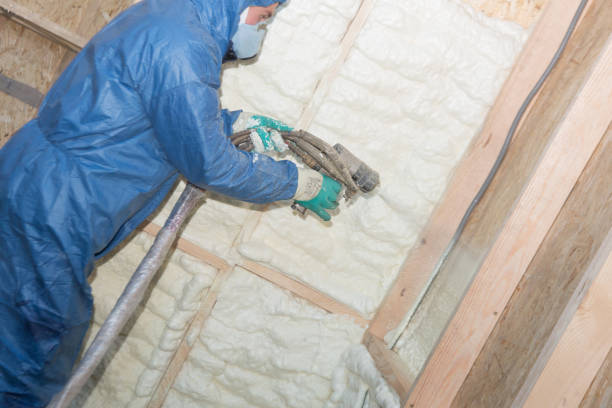 Best Fireproof Insulation  in Lindstrom, MN